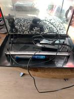 Aquarium, Dieren en Toebehoren, Vissen | Aquaria en Toebehoren, Ophalen, Gebruikt, Leeg aquarium