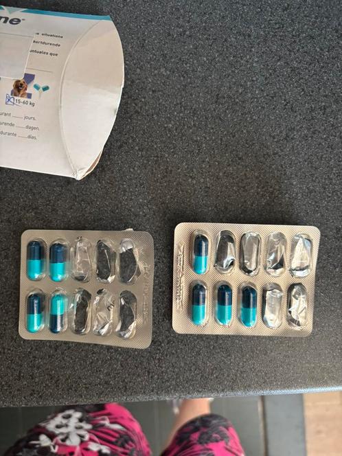 Zylkene 450 mg voor de hond, Dieren en Toebehoren, Honden-accessoires, Nieuw, Ophalen