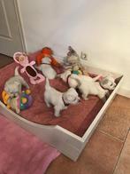 TE KOOP PRACHTIGE WEST HIGHLAND WHITE TERRIËR PUPS, Overige rassen, CDV (hondenziekte), 8 tot 15 weken, Meerdere dieren