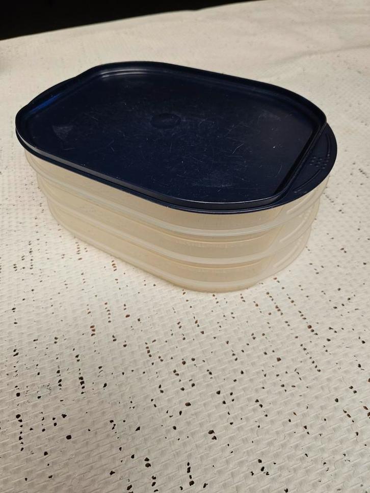 Tupperware Vleeswarenbakjes - Handig en Praktisch!, Huis en Inrichting, Keuken | Tupperware, Gebruikt, Bak of Kom, Blauw, Wit