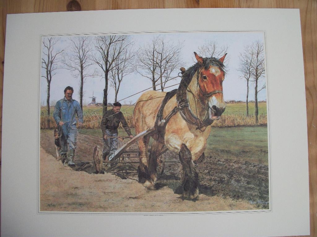 Map met 10 reproducties - Paarden Kinderen Wim Romijn Nieuw, Huis en Inrichting, Woonaccessoires | Schilderijen, Tekeningen en Foto's