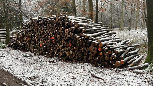 Mooie Beukenstapels brandhout, Tuin en Terras, Haardhout, Stammen, Beukenhout, 6 m³ of meer, Ophalen of Verzenden