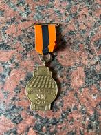 Pannenhoef 1958-1983 Speldje, Ophalen of Verzenden, Gebruikt, Overige onderwerpen, Speldje of Pin