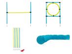 Honden agility set, Dieren en Toebehoren, Ophalen, Zo goed als nieuw, Behendigheidspeelgoed