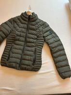 Airforce jas nieuw, Kleding | Dames, Jassen | Winter, Airforce, Nieuw, Ophalen of Verzenden, Maat 36 (S)