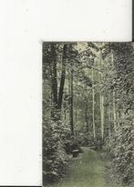 Kolhorn GR 29juni 1906 en GR Zuid-Scharwoude 29 juni 1906, Verzamelen, Ophalen of Verzenden, Voor 1920, Gelopen, Noord-Holland