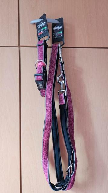 Nobby Cayo halsband en riem beschikbaar voor biedingen