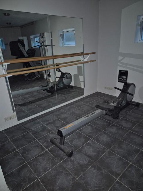 Proteus Roeitrainer - Complete Workout, Sport en Fitness, Fitnessapparatuur, Gebruikt, Roeitrainer, Armen, Benen, Buik, Rug, Metaal