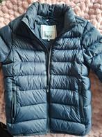 Tommy Hilfiger, Ophalen, Blauw, Tommy Hilfiger, Overige maten