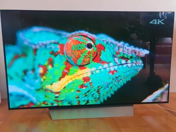 LG OLED 4K 120Hz - 55inch beschikbaar voor biedingen