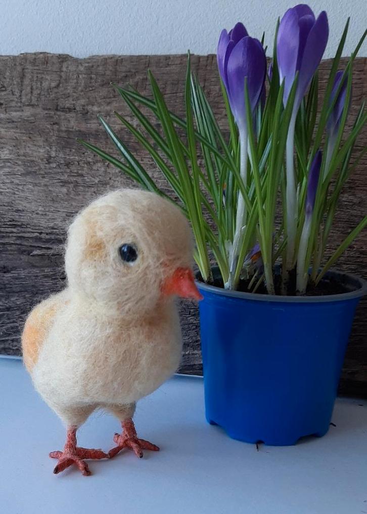Genaaldvilt Kuikentje wol naaldvilten Kuiken handgemaakt, Hobby en Vrije tijd, Vilt, Nieuw, Overige typen, Wolvilt, Ophalen of Verzenden
