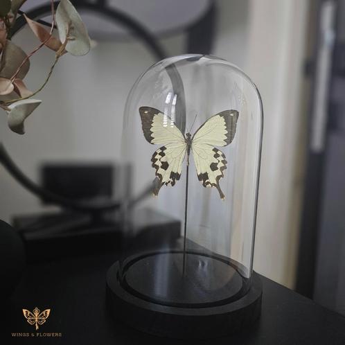 Vlinderstolp, Huis en Inrichting, Woonaccessoires | Stolpen, Nieuw, Ophalen of Verzenden