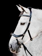 Rambo Micklem Multi Bridle, Pony, Cob, Full, X-Full, Ophalen of Verzenden, Nieuw, Dressuur