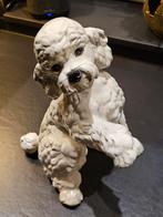 Goebels Poedel Beeldje, Verzamelen, Beelden en Beeldjes, Ophalen of Verzenden, Zo goed als nieuw, Dier