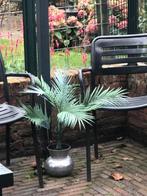Mooie (kunst )palm in rvs pot, Ophalen of Verzenden, Bloeit niet, Overige soorten, Volle zon
