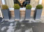 4x Buxus planten in pot, Ophalen, Kunststof, Balkon, Minder dan 60 cm
