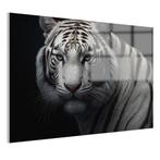 Witte tijger portret Glasschilderij 105x70cm + Ophangsysteem, Nieuw, Print, 100 tot 125 cm, Oorspronkelijke maker