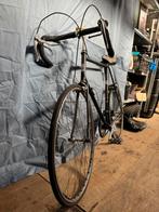 Gazelle champion mondial, 55 tot 59 cm, Ophalen