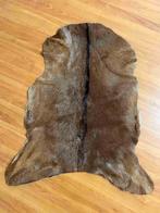Geitenvacht 76/54, Gebruikt, 50 tot 100 cm, Bruin, Etten-Leur