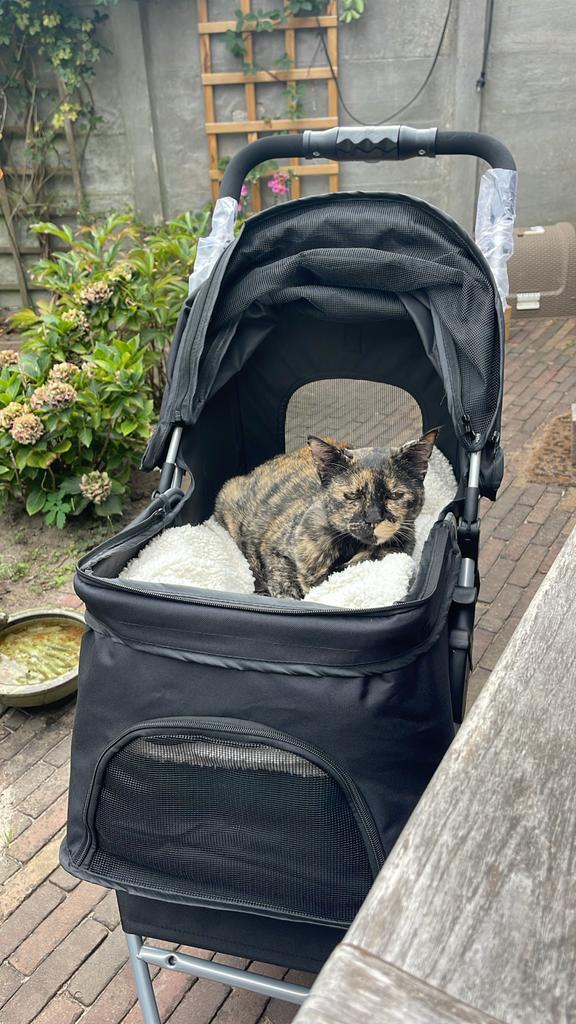 Buggy Trixie zwart voor huisdier tot 11 kg, Dieren en Toebehoren, Overige Dieren-accessoires, Zo goed als nieuw, Ophalen of Verzenden