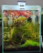 Aquael 30 liter aquarium, Ophalen, Zo goed als nieuw, Leeg aquarium