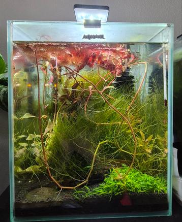 Aquael 30 liter aquarium beschikbaar voor biedingen