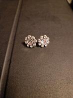 Otazu oorbellen, Sieraden, Tassen en Uiterlijk, Oorbellen, Ophalen of Verzenden, Zo goed als nieuw, Overige materialen