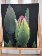 Olieverf Schilderij Tulpen - 40x50cm, Antiek en Kunst, Kunst | Schilderijen | Klassiek, Ophalen of Verzenden
