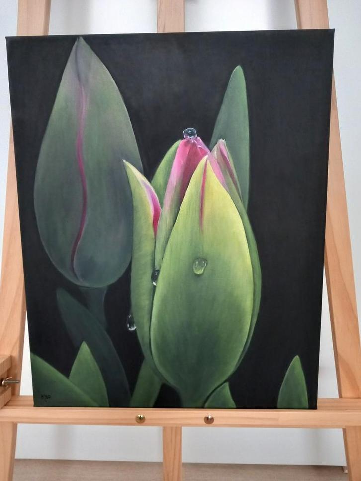 Olieverf Schilderij Tulpen - 40x50cm, Antiek en Kunst, Kunst | Schilderijen | Klassiek, Ophalen of Verzenden