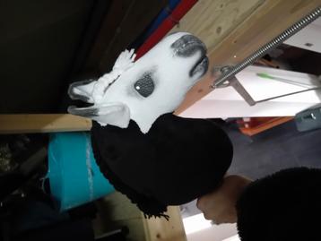 LS HOBBYHORSE beschikbaar voor biedingen