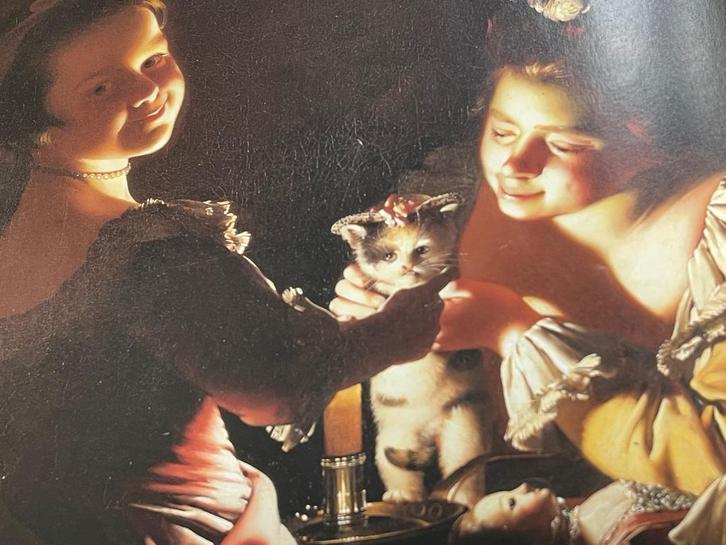 Wat is Een Kat - Midas Dekkers  Midas Dekkers, kattenliefheb, Boeken, Dieren en Huisdieren, Zo goed als nieuw, Katten, Ophalen of Verzenden