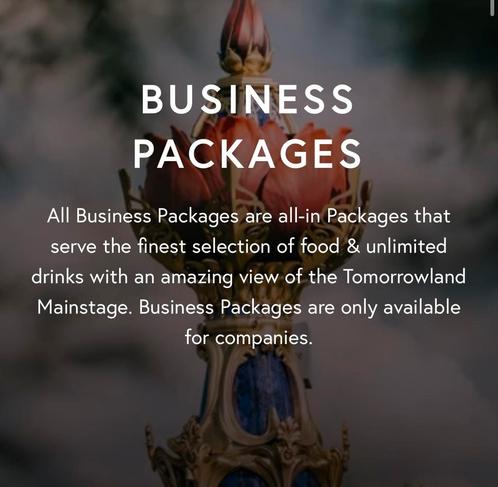 Tomorrowland b2b business package tickets, Tickets en Kaartjes, Evenementen en Festivals, Drie personen of meer