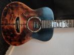 relic harley benton travel acousische  gitaar met tas, Ophalen, Gebruikt, Semi-solid body, Overige merken