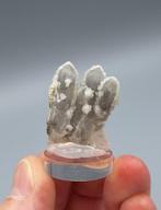 Kwarts (2 generaties) - Santa Eulalia, Mexico, Ophalen of Verzenden, Mineraal