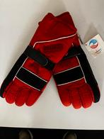 Winter (motor) handschoenen, Motoren, Kleding | Motorkleding, Nieuw met kaartje, Damen, Heren, Ophalen of Verzenden