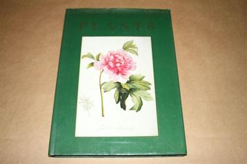 Plants - Classic Natural History Prints - Grote uitgave !! beschikbaar voor biedingen