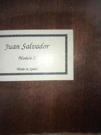 Klassieke gitaar Juan Salvador Modelo 2, Ophalen, Gebruikt, Klassieke of Spaanse gitaar