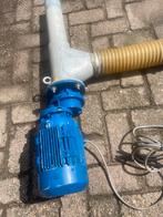 Vijzel / Schroeftransporteur, Meerdere dieren, Varken