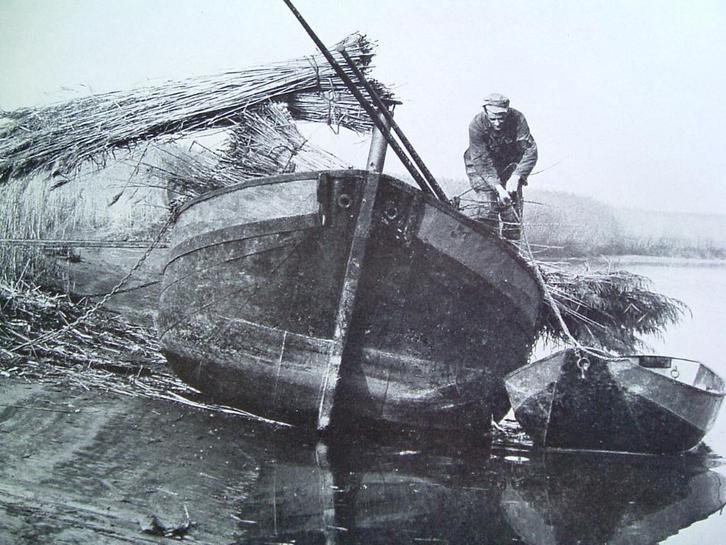 De ruige Biesbosch., Boeken, Geschiedenis | Stad en Regio, Gelezen, 20e eeuw of later, Ophalen of Verzenden