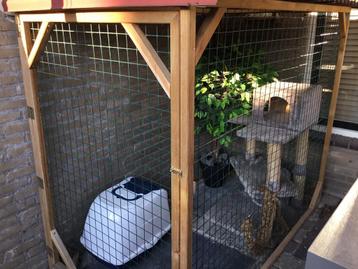 Zelfbouw kattenkooi beschikbaar voor biedingen