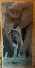 Jungle Kamer – Complete Decoratie Set (zie foto’s!), Ophalen, Gebruikt, Wanddecoratie