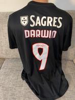 Mooi voetbalshirt Benfica Lissabon Portugal Darwin, Ophalen of Verzenden, Zo goed als nieuw, Buitenlandse clubs, Shirt