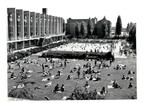 Oude persfoto Zwembad Charlois (23x18 cm), 1960 tot 1980, Verzenden, Foto, Zo goed als nieuw