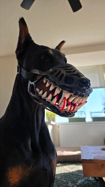 Enge / stoere Muilkorf voor grote hond beschikbaar voor biedingen