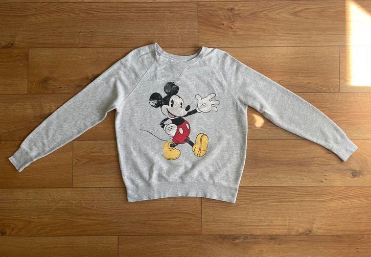 H&M leuke grijze sweater met Mickey Mouse maat M, Kleding | Dames, Truien en Vesten, Gedragen, Maat 38/40 (M), Grijs, Ophalen of Verzenden