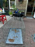 Hondenbench – vertrouwd plekje voor je viervoet, Ophalen, Gebruikt