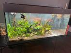 Compleet aquarium met Oase filter, Ophalen, Gebruikt, Overige typen
