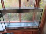 Ciano Aquarium extra hoog (215 liter), Dieren en Toebehoren, Ophalen, Gebruikt, Leeg aquarium