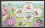 Ierland 2024 - inheemse bijen, blok - pf, Verzenden, Ierland, Postfris