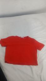 Rode ZARA top - Maat S, ZARA, Ophalen of Verzenden, Zo goed als nieuw, Korte mouw